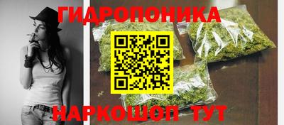 a pvp Гатчина