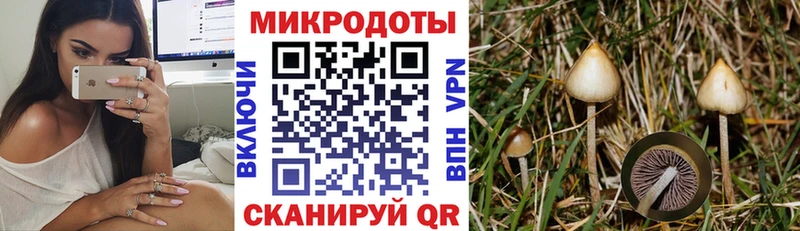 ссылка на мегу ссылки  Нижний Новгород  Псилоцибиновые грибы ЛСД 