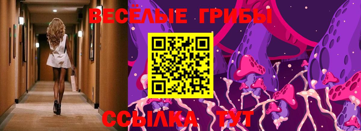 Псилоцибиновые грибы Psilocybine cubensis  Псилоцибиновые грибы Psilocybe  Вход с VPN  Нижний Новгород 